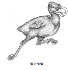 OM6`Q6CQ5CP~7~1GIRCXQKN.png