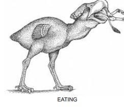 T17WPIE_[K$FWC5UM)OA$WM.png