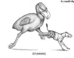 XIY2CHR3U~KBGC8J)J@1ZDW.png