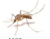 4.PNG