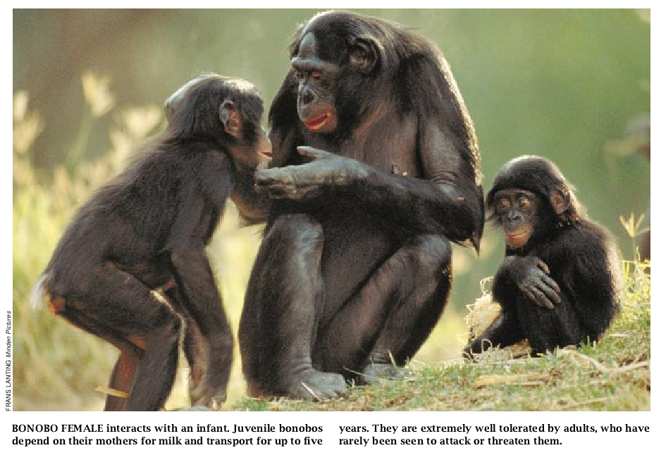 Bonobo Sex and Society-01.jpg
