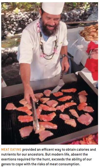食肉的人类1.jpg