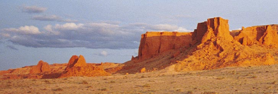 Fossils of the Flaming Cliffs-01.jpg