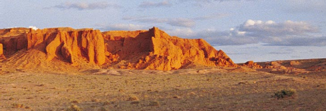 Fossils of the Flaming Cliffs-02.jpg