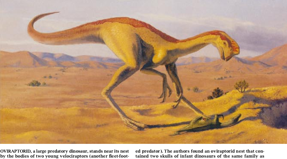 Fossils of the Flaming Cliffs-03.jpg