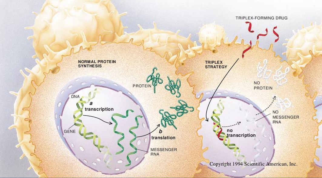 The New Genetic Medicines-01.jpg