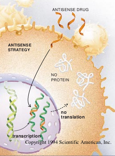 The New Genetic Medicines-02.jpg