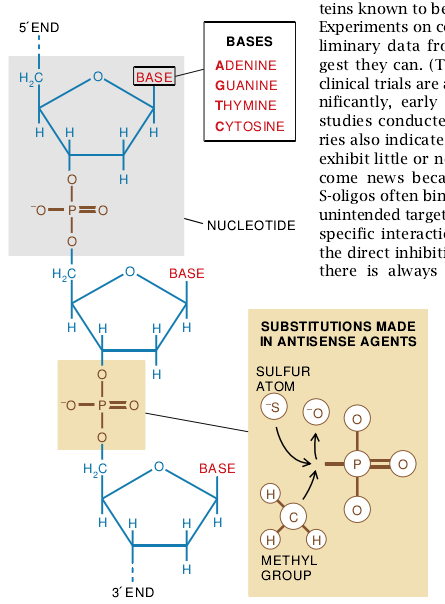 The New Genetic Medicines-03.jpg