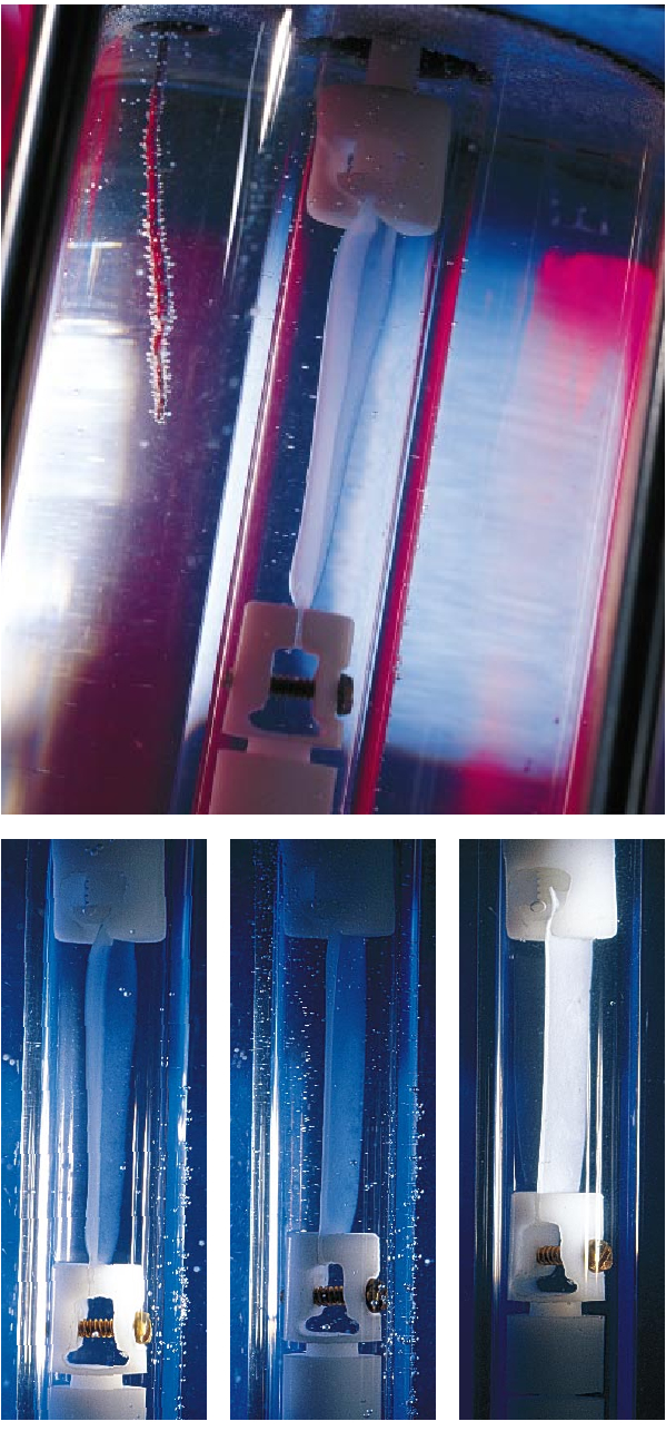 Elastic Biomolecular Machines-01.jpg