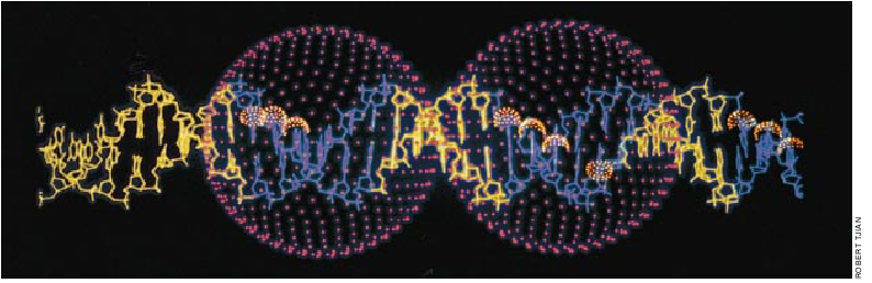 Molecular Machines That Control Genes-04.jpg