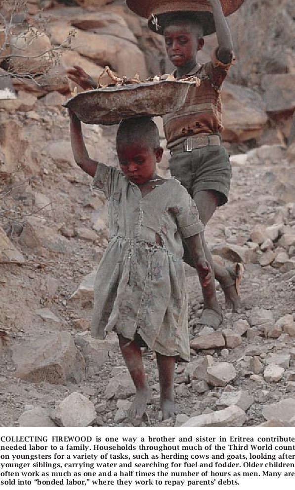 Population, Poverty and the Local Environment-03.jpg