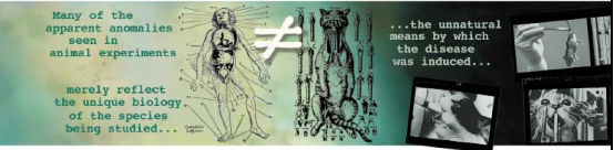 图片150.png