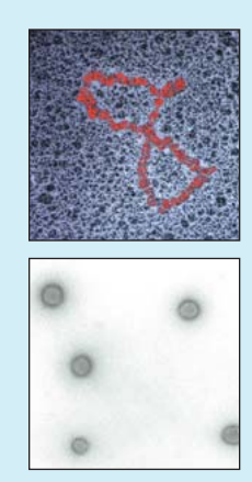 51IH(VON40RM7]``O~F9AN4.png
