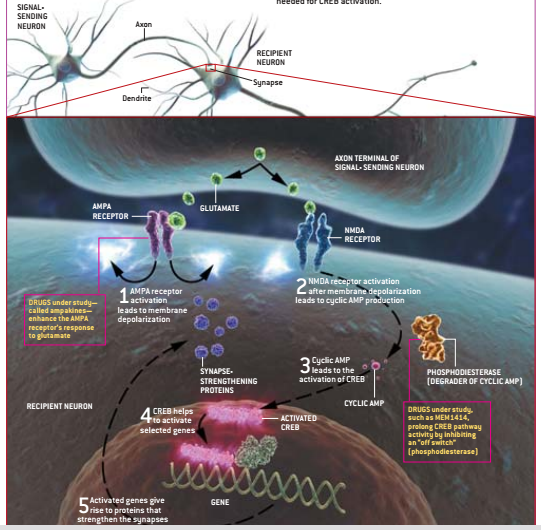 [P1BS9){41SGV(846SS39BQ.png