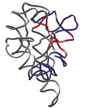 掌握130亿美元的生物学家2.png