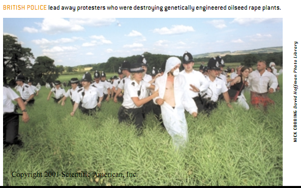 农业生物技术揭秘 1.png