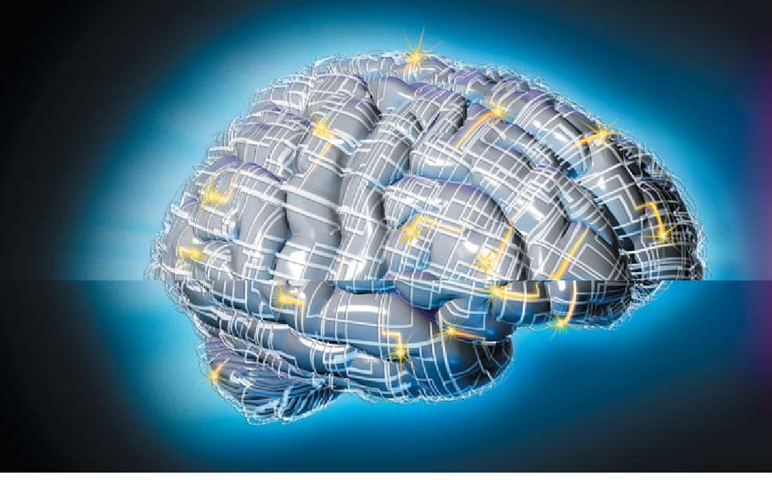 HIS&HER BRAINS-01.jpg