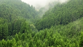 世界荒野面积20年内减少百分之十.jpg
