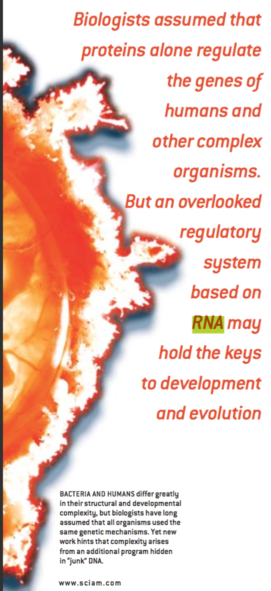 RNA是基因吗？1.png