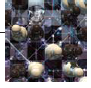 量子信息学的奥秘15.png