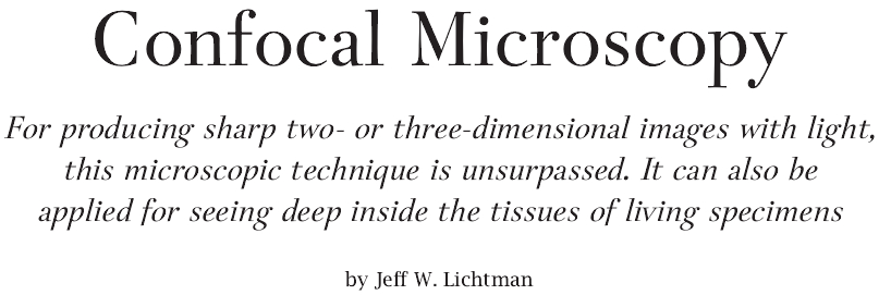 Confocal Microscopy.jpg