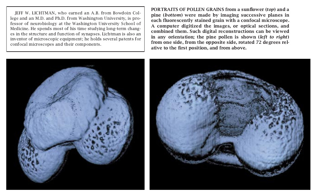 Confocal Microscopy-01.jpg