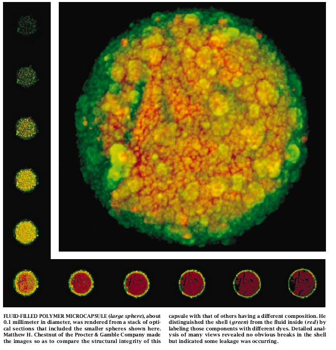 Confocal Microscopy-04.jpg