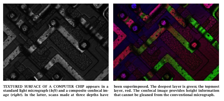 Confocal Microscopy-08.jpg