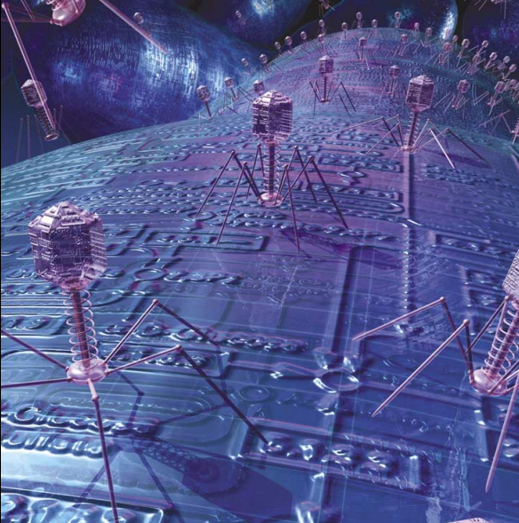 虚拟细胞 2.png