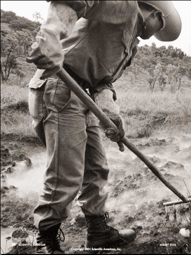 制服老挝的杀人田野 1.png