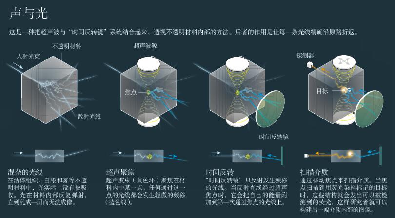 超级视觉：透视人体.jpg