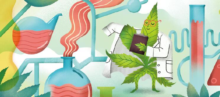 医用大麻解禁.jpg