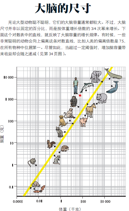 人类智力1.png