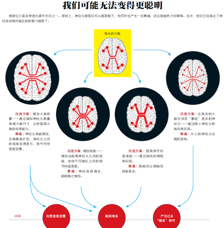 人类智力3.png