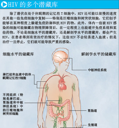 艾滋病能治愈吗 (1).png