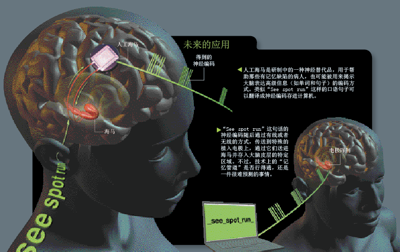 黑掉你的大脑 (5).png