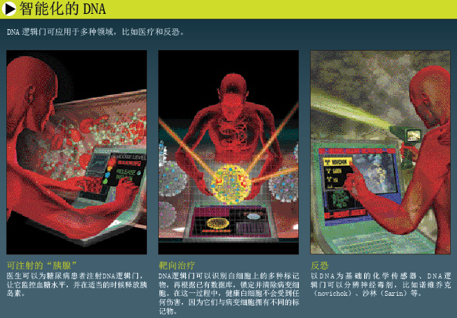 DNA computer (2).png