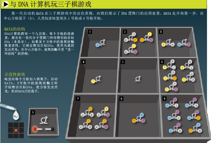 DNA computer (4).png