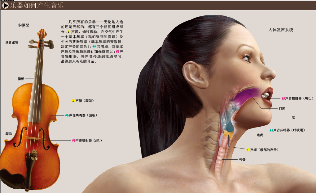声带：在简单中孕育美妙 (2).png