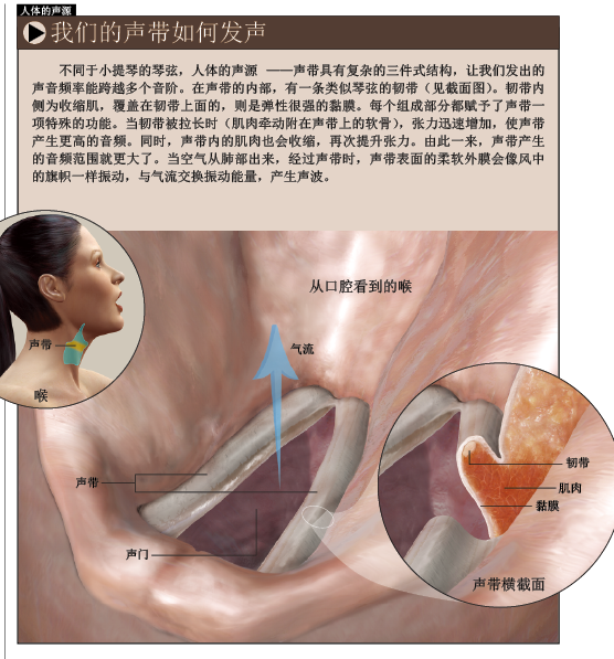 声带：在简单中孕育美妙 (3).png