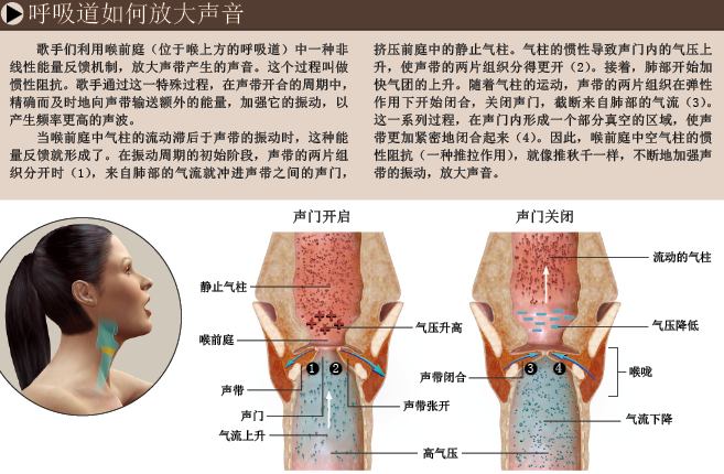 声带：在简单中孕育美妙 (4).png