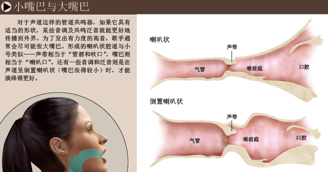 声带：在简单中孕育美妙 (5).png
