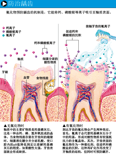 危险的含氟牙膏 (3).png
