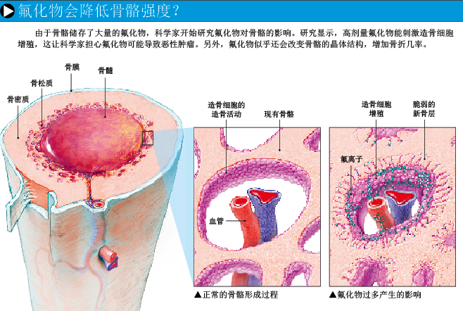 危险的含氟牙膏 (4).png
