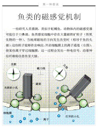 解密生物罗盘.png
