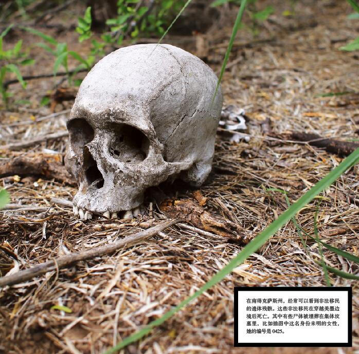 找回无名尸身份.jpg