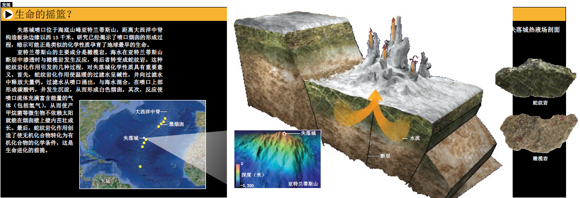 外星生命的地球样本 (1).png