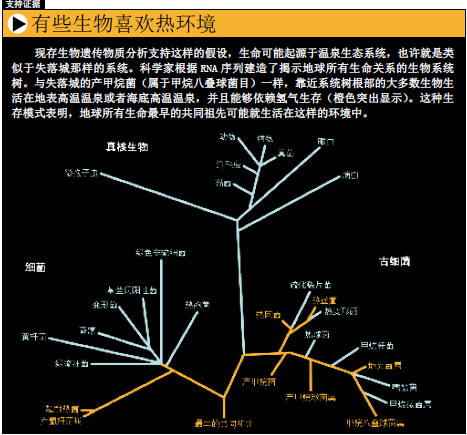 外星生命的地球样本 (2).png