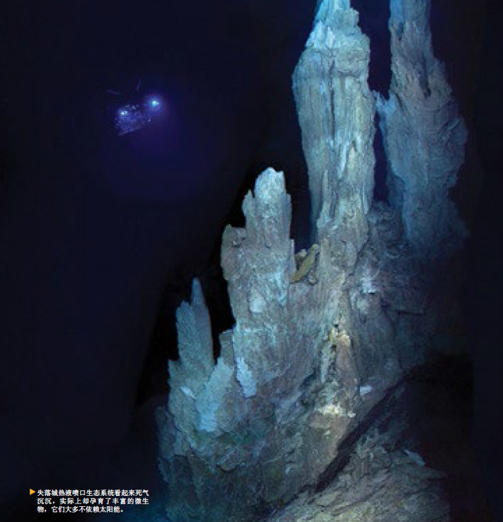 外星生命的地球样本 (3).png