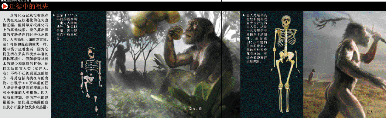 “赤裸”的真相 (4).png